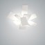 Big Bang Wall Lamp