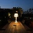 Liza Table Lamp