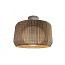Fora Outdoor Ceiling Lamp