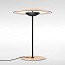 Ginger Small Table Lamp