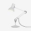 Type 75 Mini Desk Lamp
