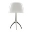 Lumiere Small Table Lamp