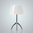 Lumiere Small Table Lamp