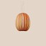 Pod Pendant