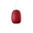 Pod Pendant