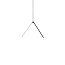 Arrangements Broken Line Suspension Lamp With Small Surface Rose Canopy