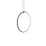 Arrangements Round & Line Suspension Lamp With Small Surface Rose Canopy