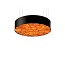Spiro Medium Pendant - Matt Black
