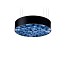 Spiro Medium Pendant - Matt Black