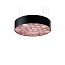 Spiro Medium Pendant - Matt Black