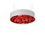 Spiro Medium Pendant - Matt White