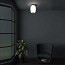 Misko C35 Ceiling Lamp
