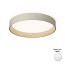 Duo 4872 Ceiling Lamp