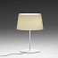 Warm 4900 Table Lamp