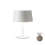 Warm 4901 Table Lamp