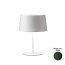 Warm 4901 Table Lamp