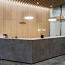 Silverback 295 Suspension Lamp