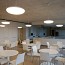 Silverback 295 Suspension Lamp