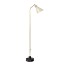 Alzabile Floor Lamp