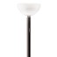 AM2C Floor Lamp