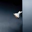 Projecteur 165 Pincer Clip Table Lamp