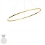 Ellisse Minor Pendant With Downlight