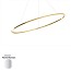 Ellisse Minor Pendant With Downlight