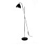 Task Overreach Floor Lamp