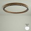 R2 C60 Ceiling Lamp