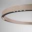 R2 S60 Suspension Lamp