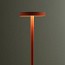 Flat 5955 Floor Lamp