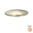 Top 1160 Ceiling Lamp