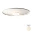 Top 1170 Ceiling Lamp