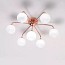 Dots Ceiling Lamp - 7210/P7
