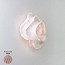 Nevo Small Wall Lamp