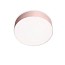Gea Large Ceiling Lamp