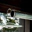 Dune Horizontal Suspension Lamp