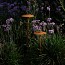 Ginger B 20/63 Outdoor Floor Lamp - Fixed