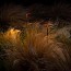 Ginger B 20/63 Outdoor Floor Lamp - Fixed