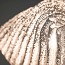 Lea Suspension Lamp