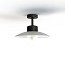 AUBANNE - MODEL N°2 - Ceiling - With Clear DIFFUSER