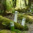 Bamboo MODEL N°2 Bollards - With CLEAR DIFFUSER
