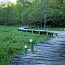 Bamboo MODEL N°2 Bollards - With CLEAR DIFFUSER
