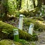 Bamboo MODEL N°3 Bollards - With CLEAR DIFFUSER