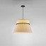 Folie S-60 Suspension Lamp