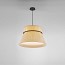 Folie S-60 Suspension Lamp