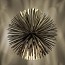 Sun - Light Of Love Suspension Lamp