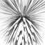 Sun - Light Of Love Suspension Lamp