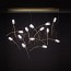 Tulip 14 Linear Suspension Lamp