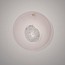Gioia Small Wall Lamp